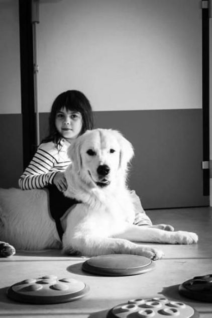 Photo de Nespa, Golden Retriever pure race