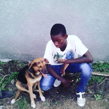 Photo de koussoube, Rhodesian ridgeback crois�