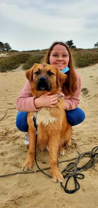 Photo de Djeiko, Labrador Retriever crois� Saint-bernard