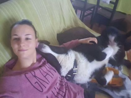 Photo de Malki, Chien d'ours de Car�lie pure race